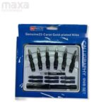Sky glory/ Sky Gold Nibs Pen Set