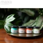 Epoke Resin Pigment Pastel POP Mini Kit-EP4