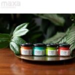 Epoke Resin Pigment Summer Popsicle Mini Kit-EP5