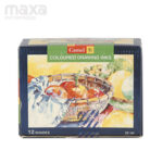 Camlin Coloured Drawing Inks Set