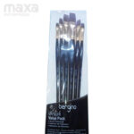 Bergino Flat Brush set