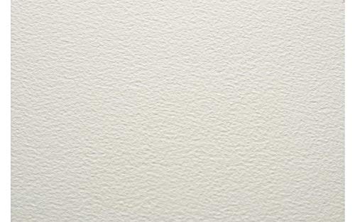 Fabriano Artistico Traditional White Watercolour Paper RG 300 GSM- 22 X  30 - Maxa Enterprises
