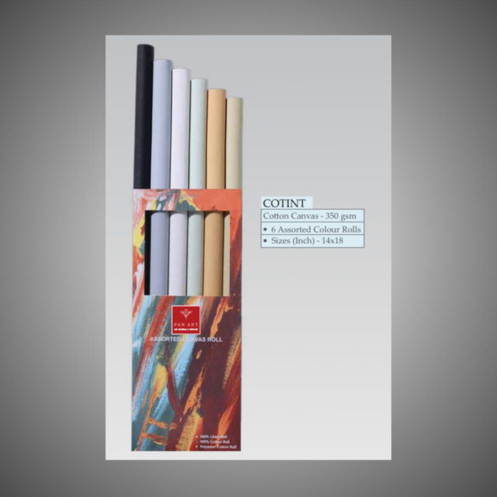 PANART 6 Assorted Canvas Rolls - COTINT